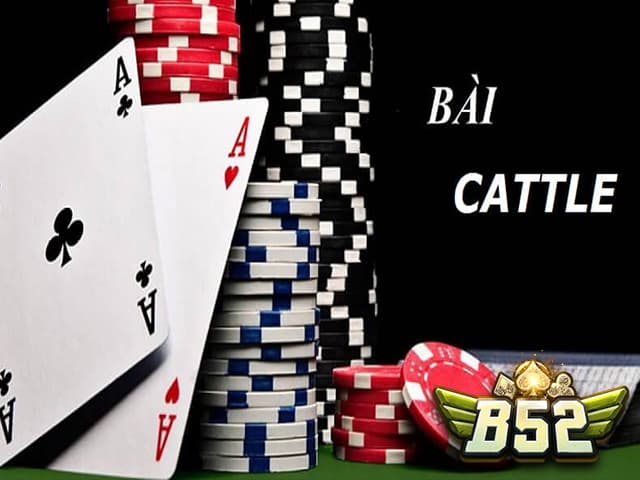 Các thuật ngữ quan trọng trong bài catte B52club