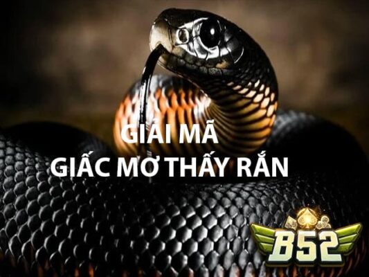 Giải mã giấc mơ thấy rắn đánh số gì thu tiền triệu từ b52club